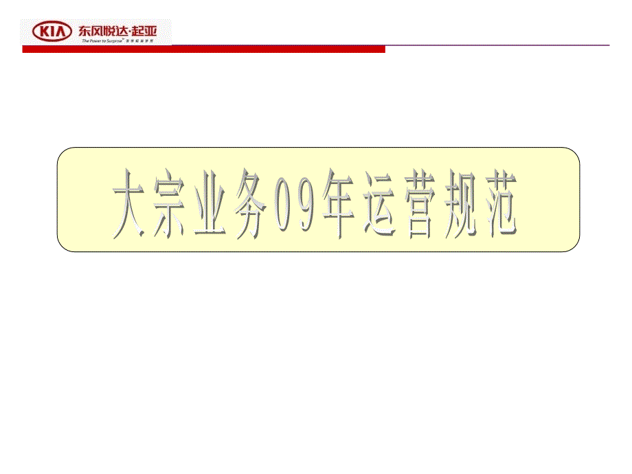 东风悦达起亚汽车大宗业务09年运营规范_第1页