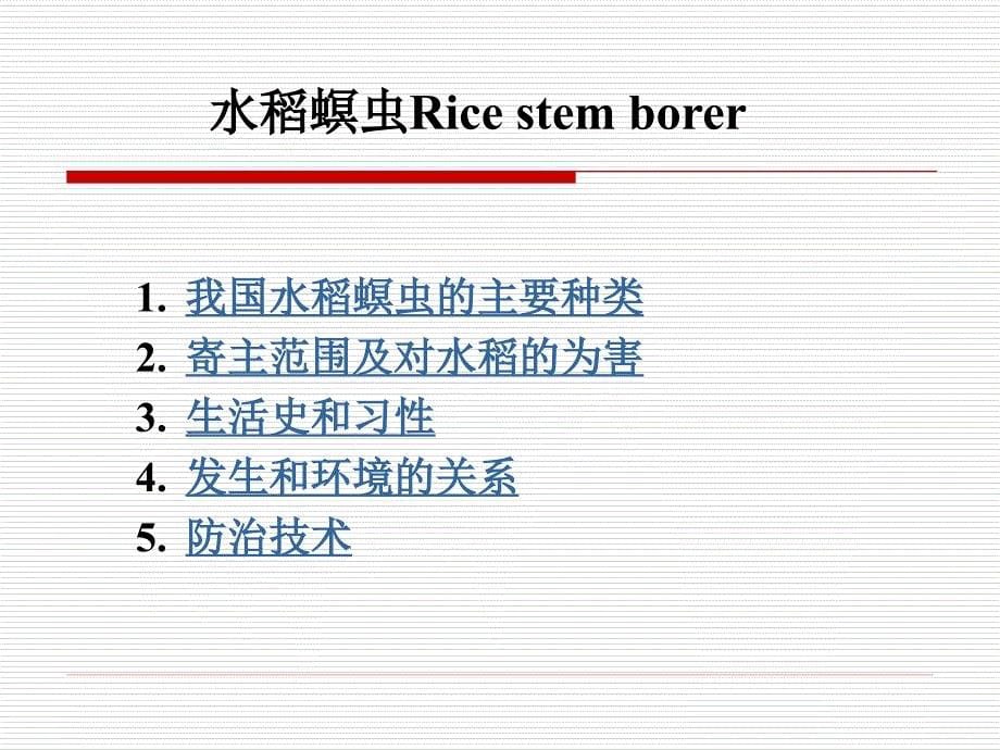 水稻螟虫及稻纵卷叶螟_第5页