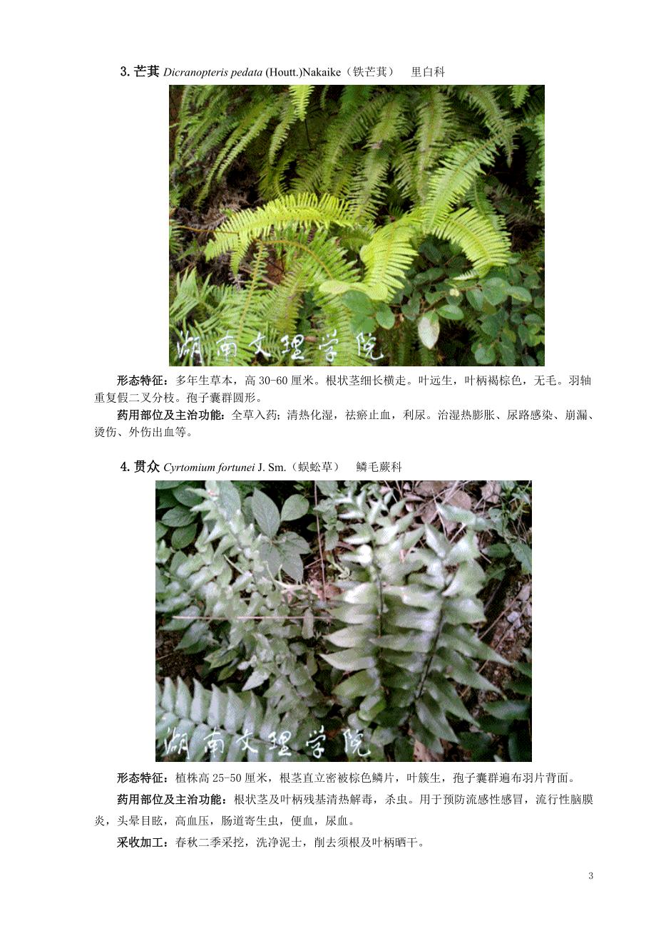 南岳衡山药用植物手册样本_第3页