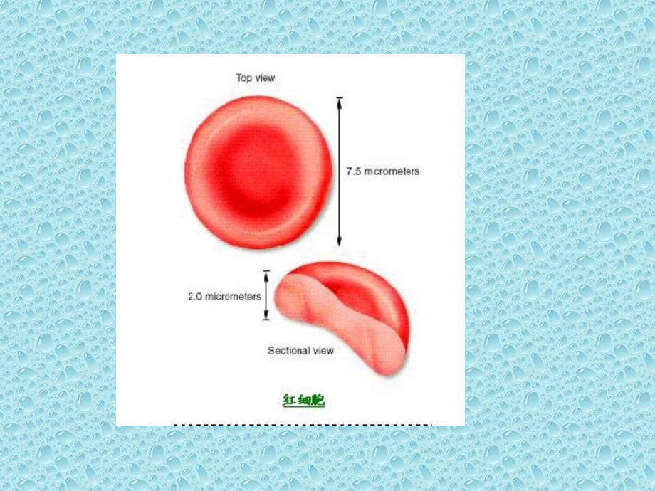 血液常规检验项目及临床意义_第3页