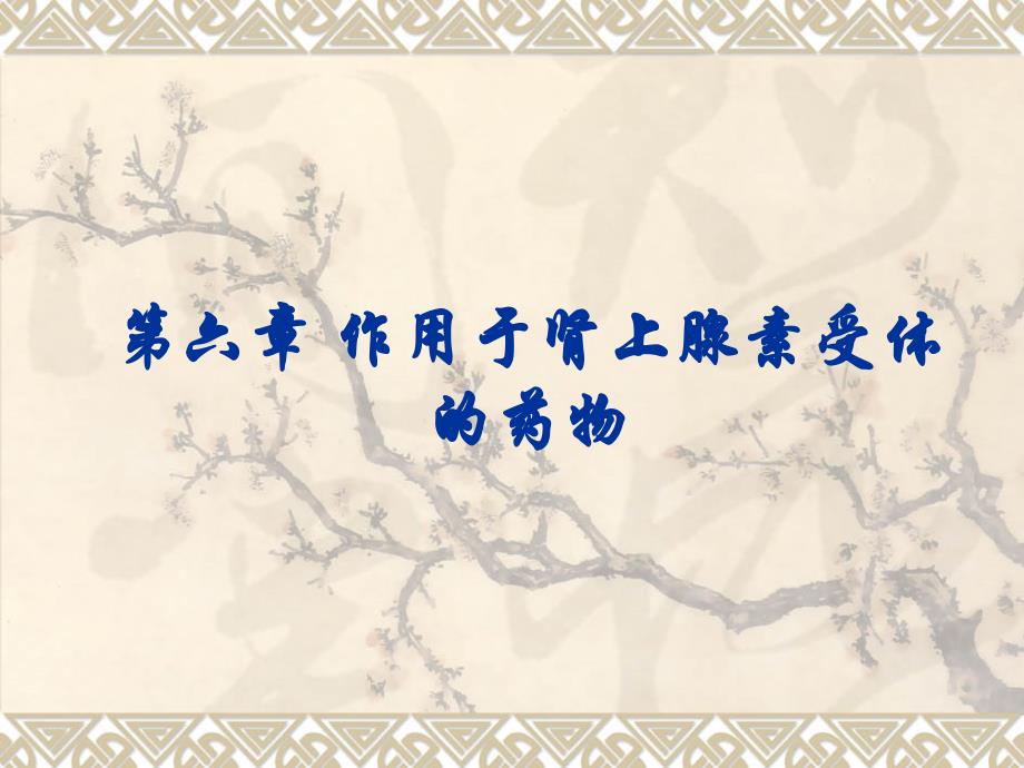 第六章  作用于肾上腺素受体的药物_第1页