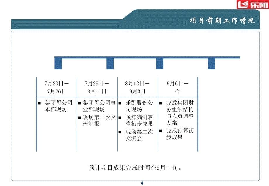 集团公司财务咨询项目报告_第5页