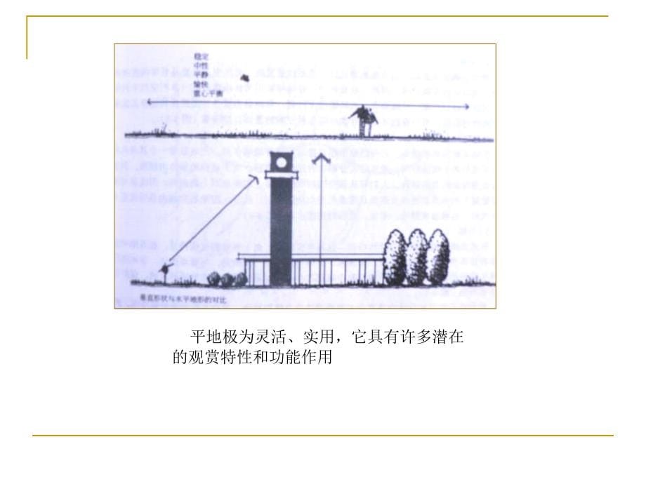 第三章   园林中的组成要素_第5页