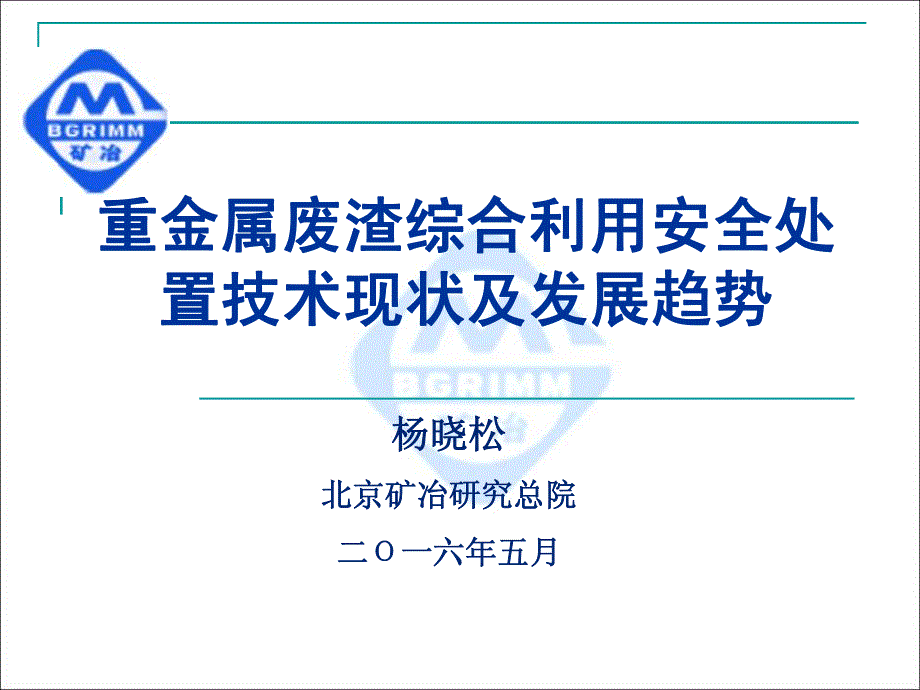 重金属废渣综合利用安全处_第1页