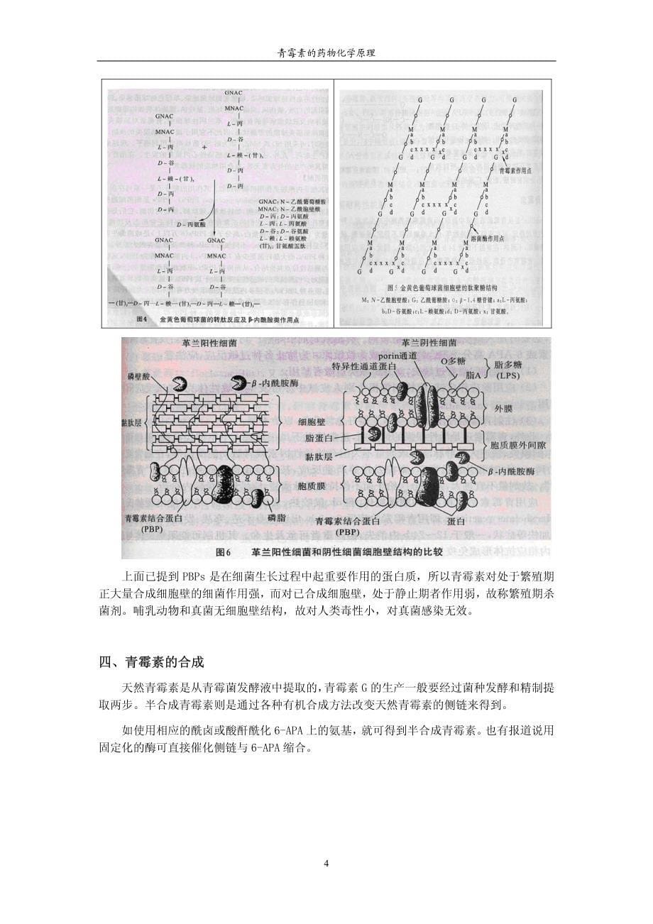 青霉素的药物化学原理_第5页