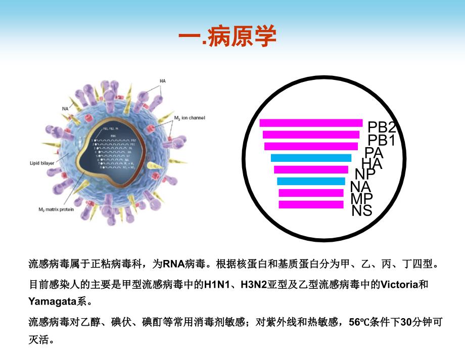 2018年流行性感冒诊疗方案及流程_第3页