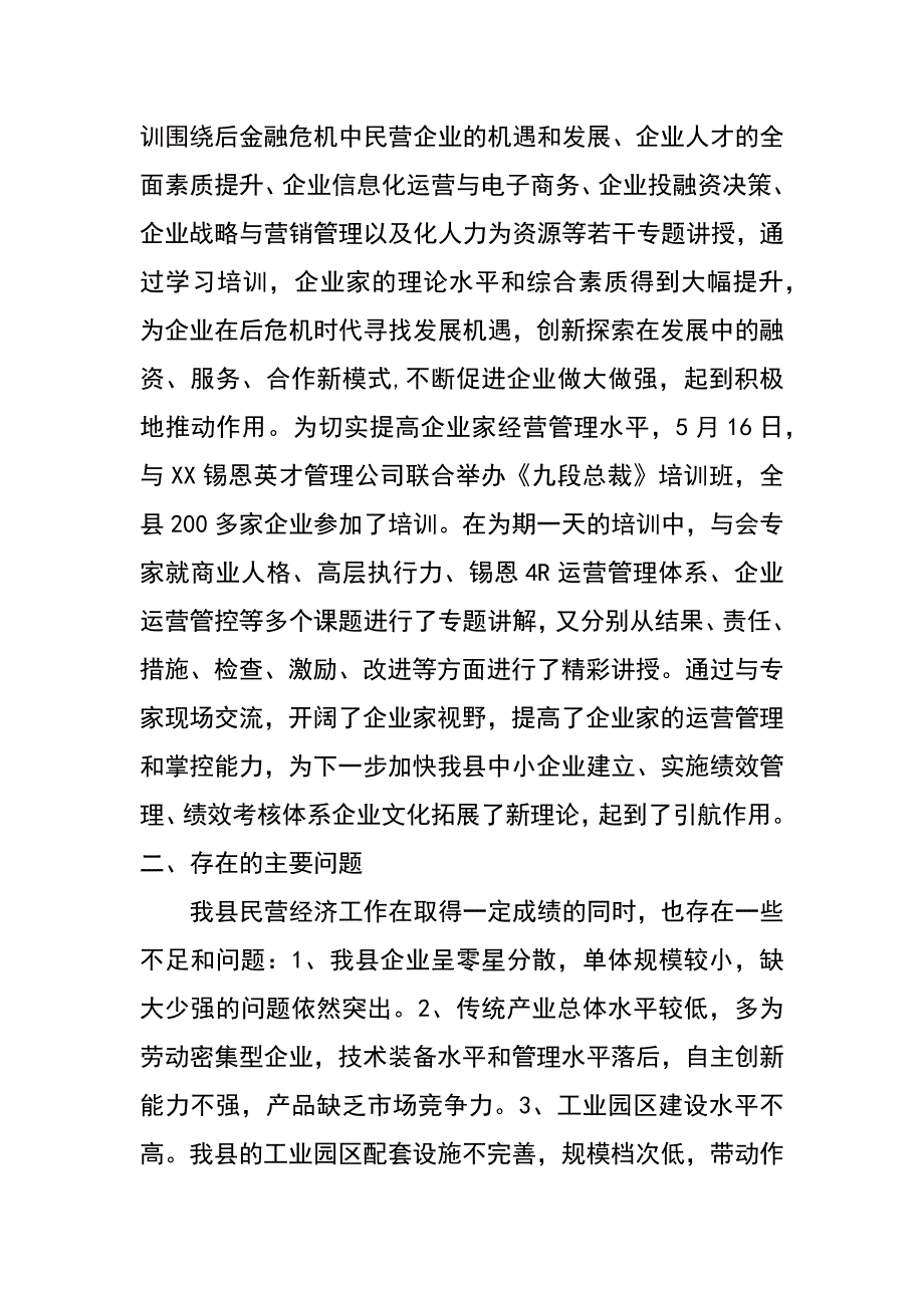 xx年上半年某县民营经济工作总结_第4页