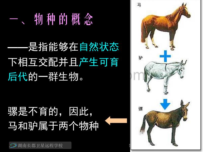 08.11.17高二生物《隔离与物种的形成》《共同进化与生物多样性的形成》(课件)_第5页