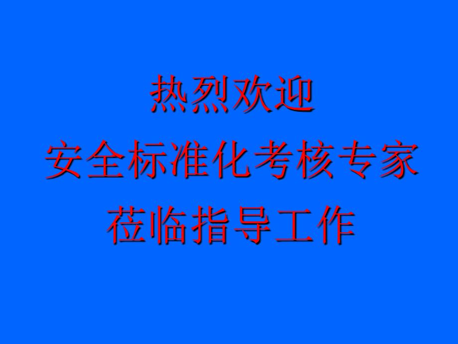 安全标准化工作情况汇报PPT_第1页