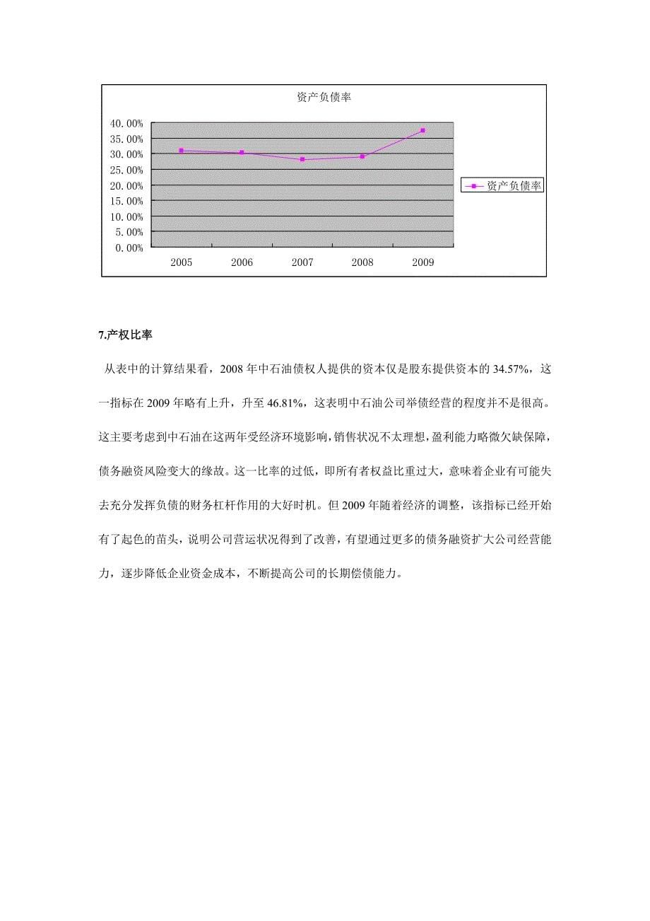 中国石油天然气股份有限公司财务报表分析_完整版_第5页