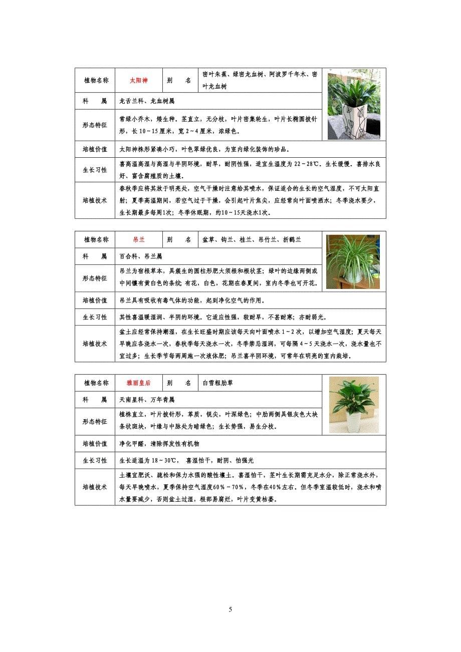 50种盆栽植物图片及名称_第5页