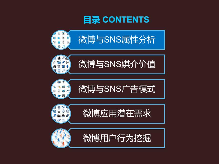 dcci-2010年上半年中国微博与社交网络数据研究报告_第2页