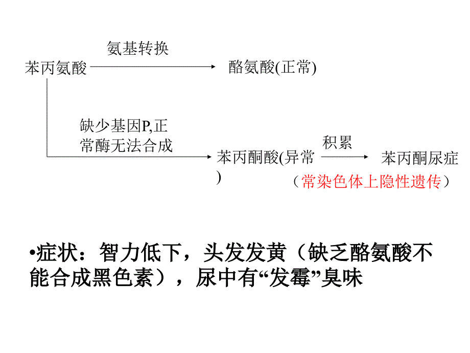 遗传与优生_第4页