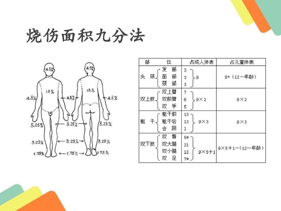 烫伤病人的个案护理_第5页