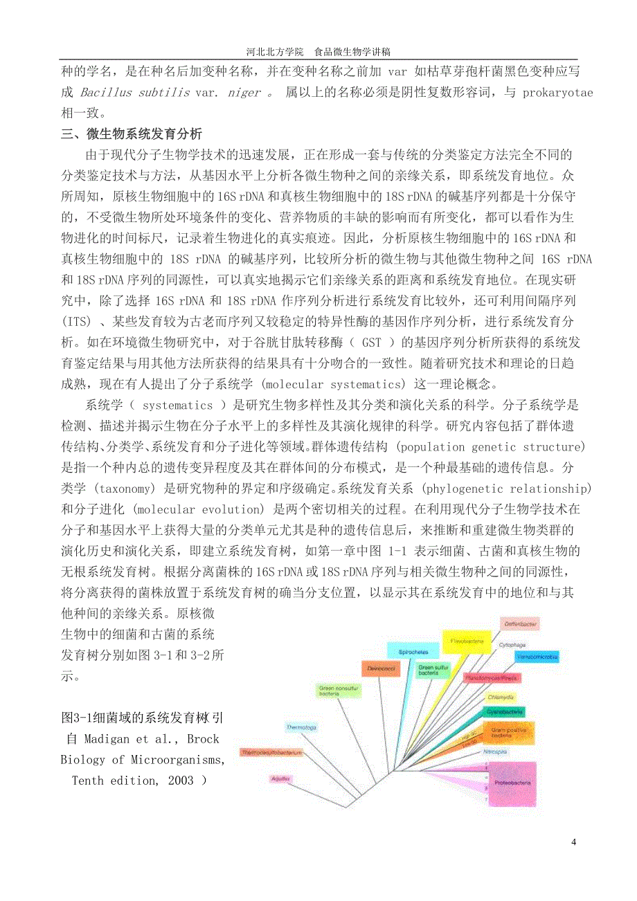 11微生物的分类及其分类方法_第4页