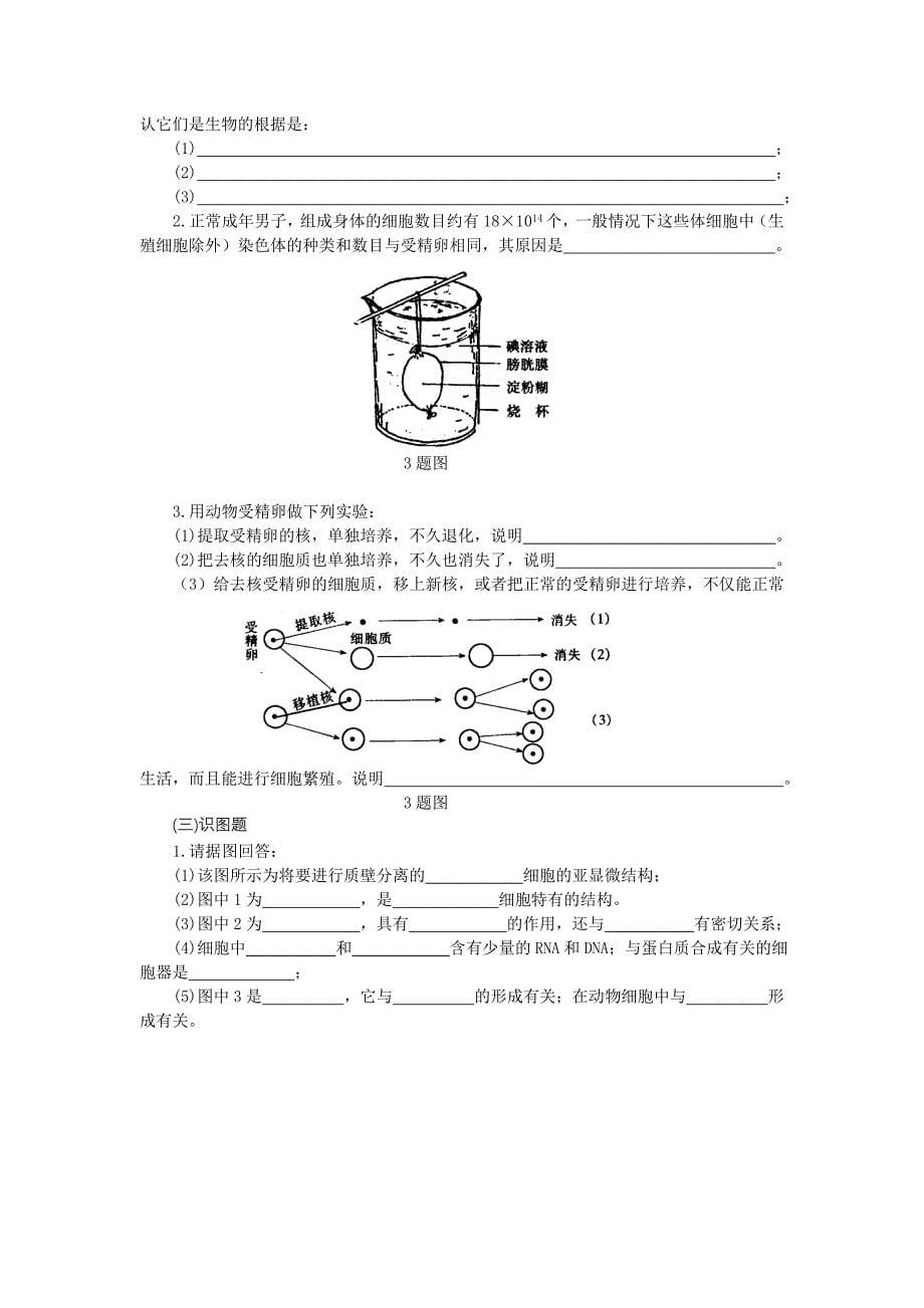 生物学科综合能力培养_第5页