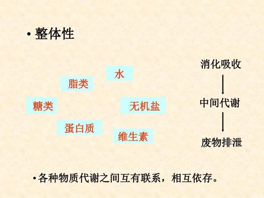 代谢及代谢调控总论_第5页