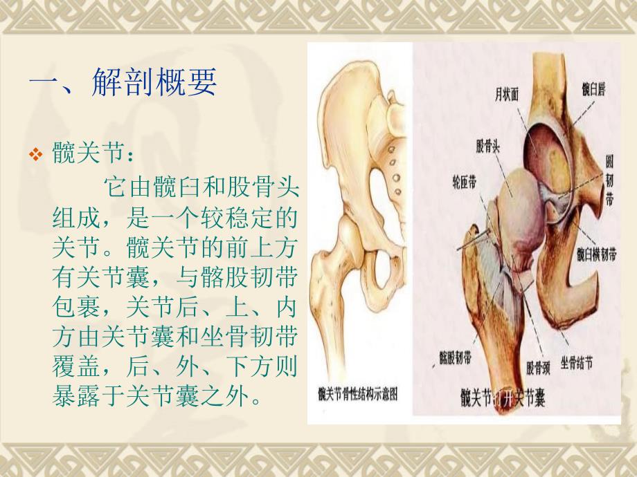 关于股骨颈骨折保守治疗护理.ppt_第2页