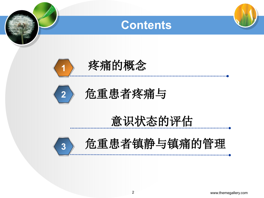 重症患者疼痛管理_第2页