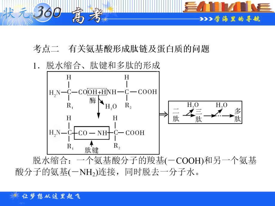 【状元360】2015高考生物一轮总复习基础课件：1.1.3 细胞中的蛋白质、核酸_第4页