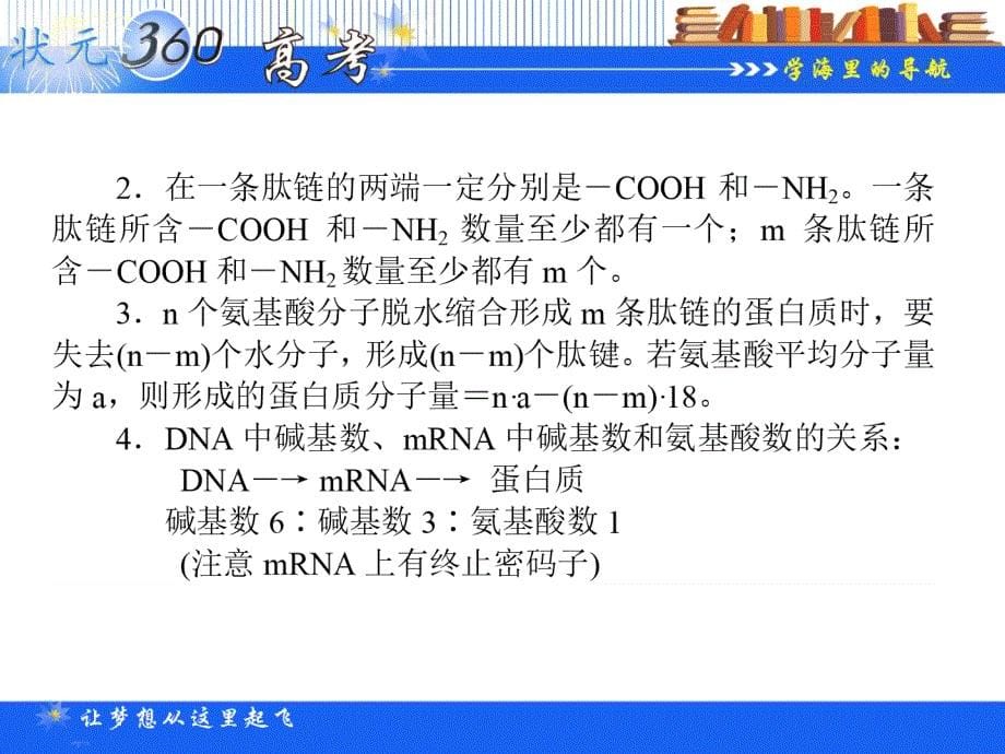 【状元360】2015高考生物一轮总复习基础课件：1.1.3 细胞中的蛋白质、核酸_第5页