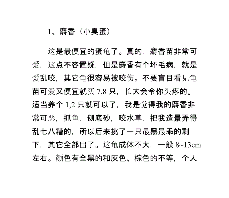 蛋龟学堂——新手必读的蛋龟品种和饲养经验知识汇总by小小西欧_第1页