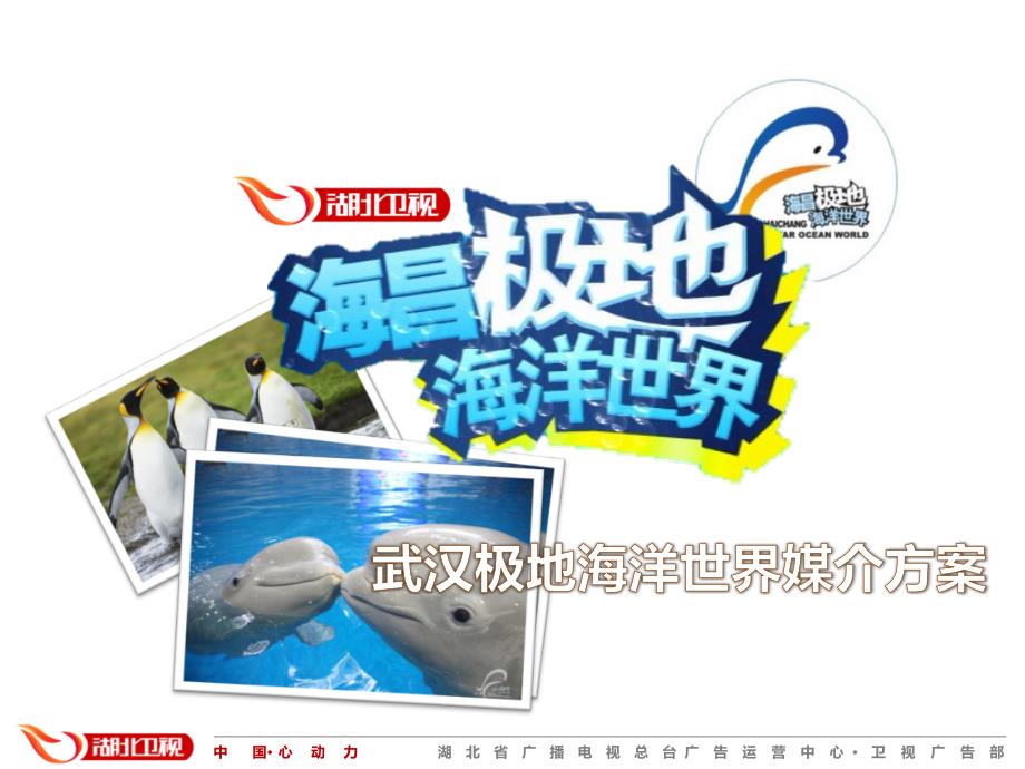 极地海洋世界湖北卫视企划方案_第1页