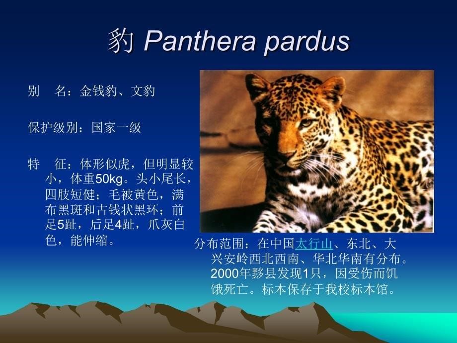 安徽省国家重点保护的野生动物宣传展.ppt_第5页