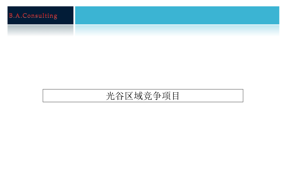 伟业2010年武汉汇丰项目二期产品建议方案_第4页