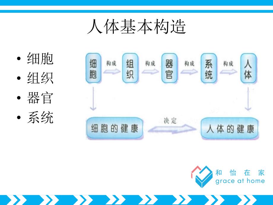 老年人常见疾病的护理_第3页