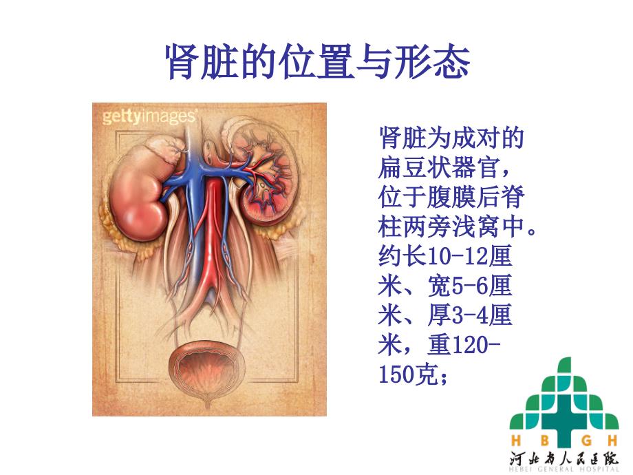 糖尿病肾病的护理_第4页