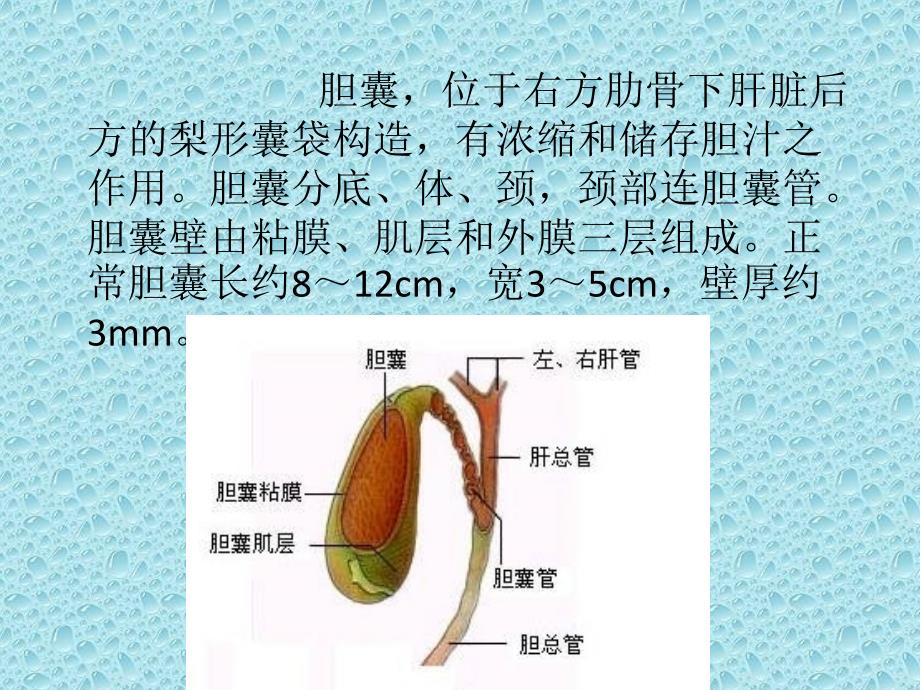 胆囊壁增厚影像诊断_第2页