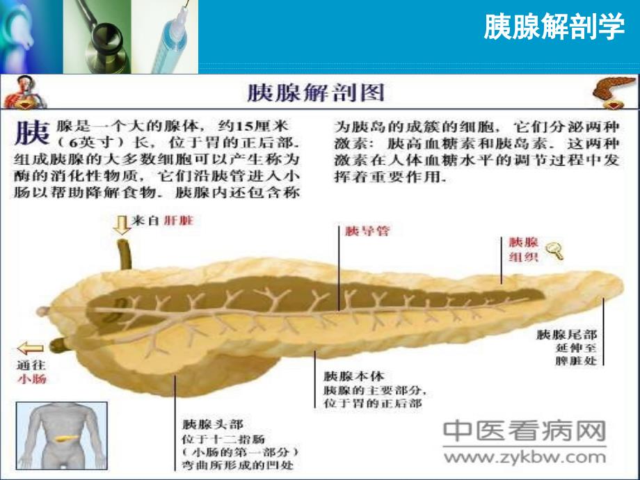 急性胰腺炎教学查房_第4页