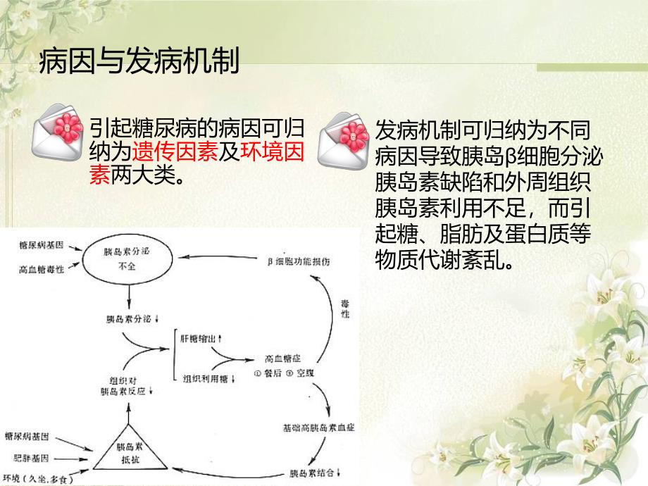 内分泌型糖尿病的护理查房王雪_第4页