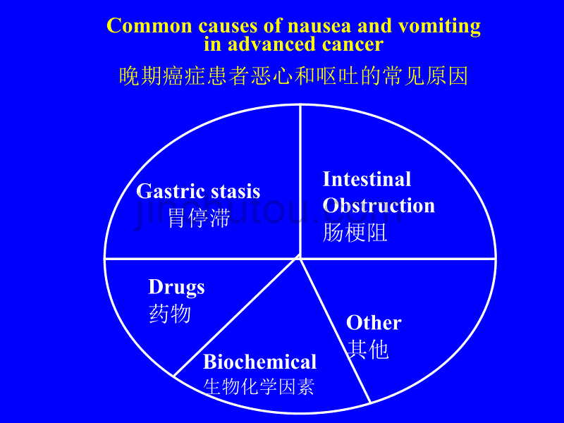 恶心和呕吐的姑息性处理目的.ppt_第3页