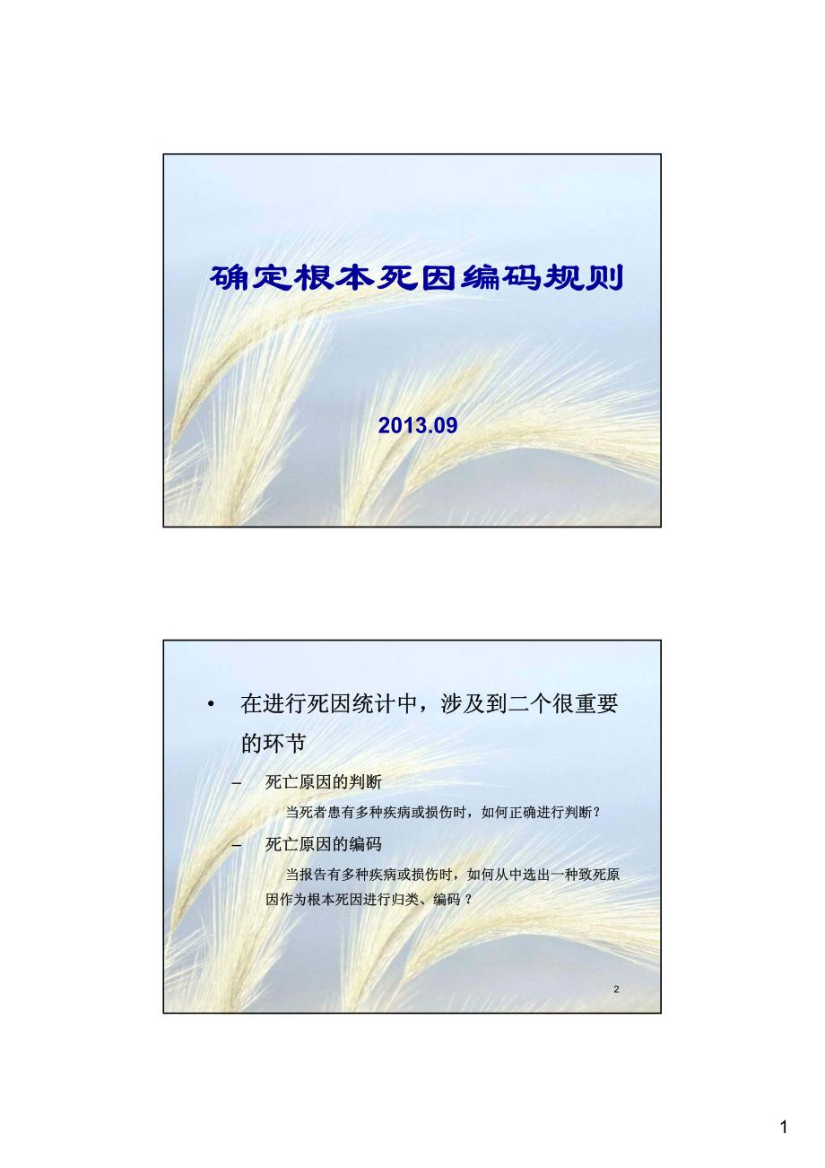 5.宋桂香-确定根本死因编码规则_第1页