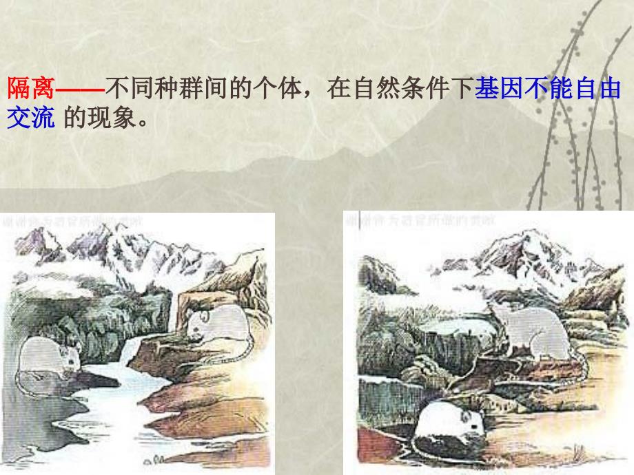 物种进化与生物多样性的形成(北师大)_第4页