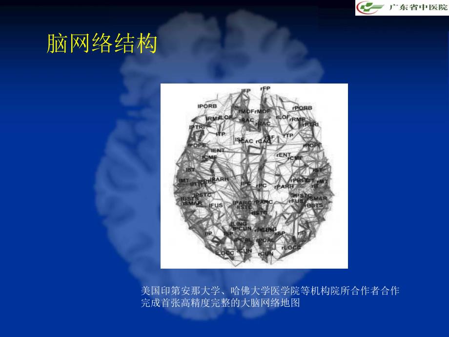 2010中西医结合：针灸fmri从功能定位到网络研究_第3页