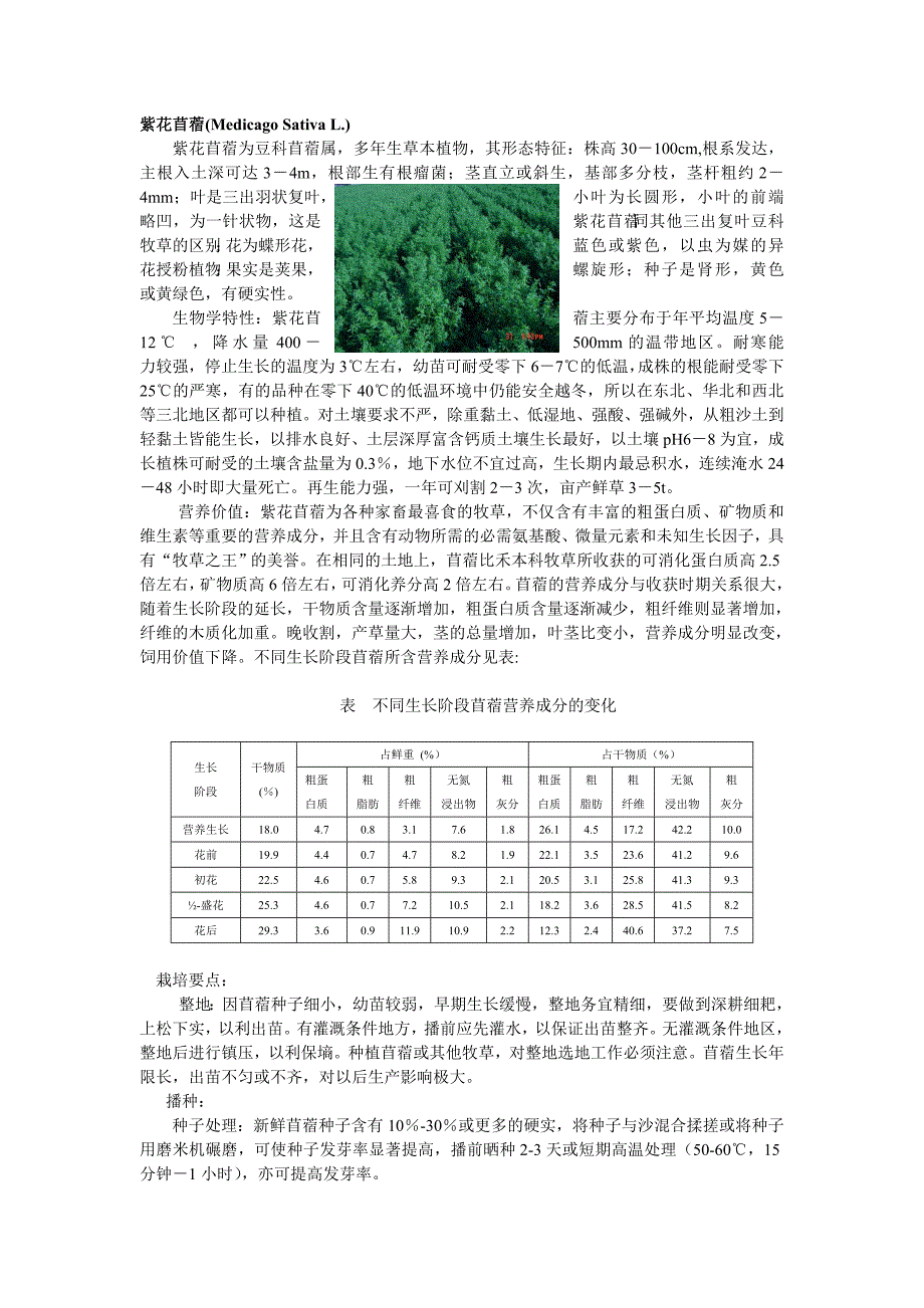 紫花苜蓿种植方式说明书_第1页