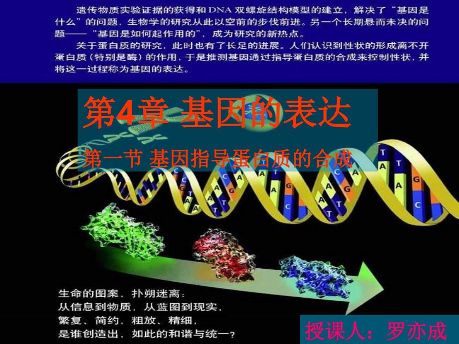 公开课 基因指导蛋白质的合成课件.ppt_第2页