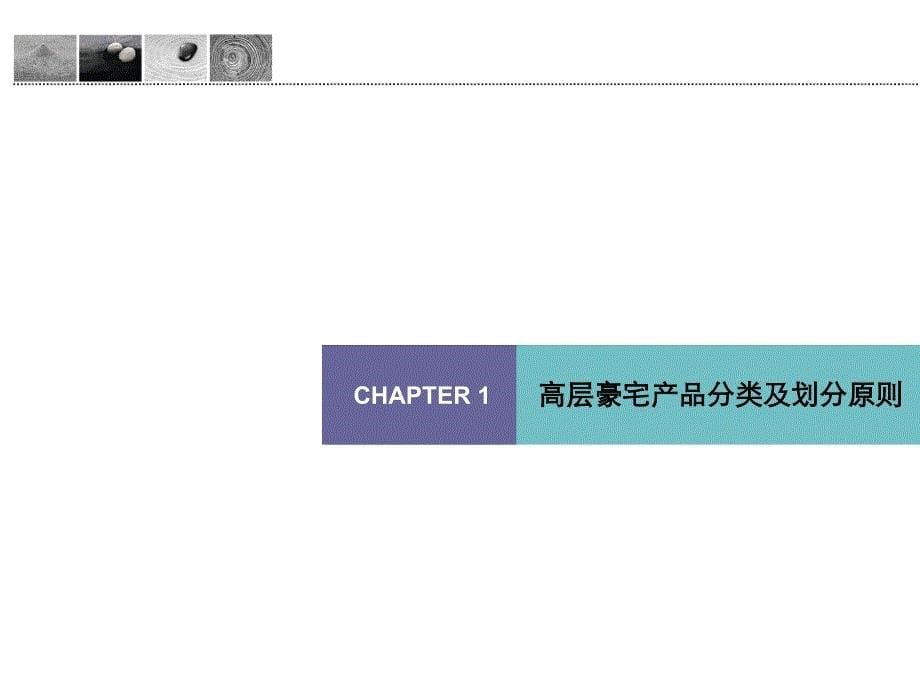 中原2010年高层豪宅研究_第5页