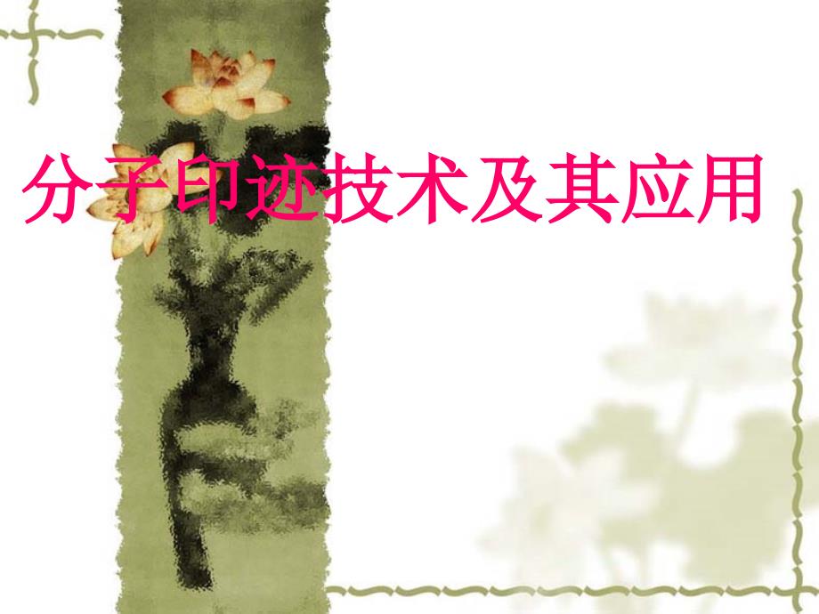 分子印迹聚合物膜原版_第1页