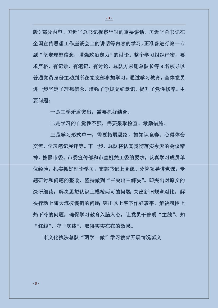 市文化执法总队“两学一做”学习教育开展情况_第3页