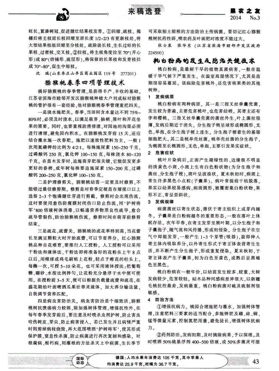 桃白粉病的发生及防治关键技术_第1页