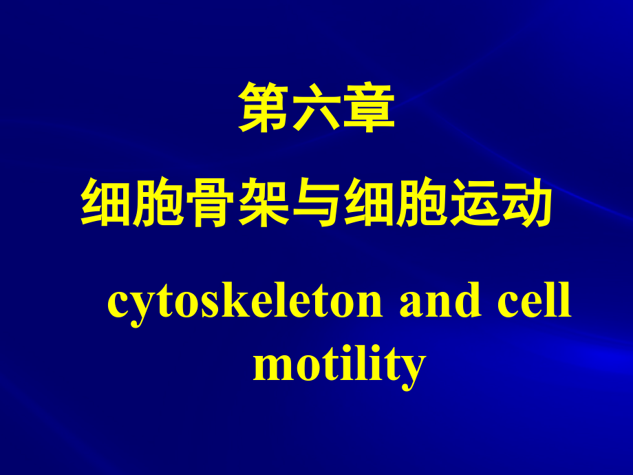 第六章 细胞骨架与细胞运动(辛华)14_第1页
