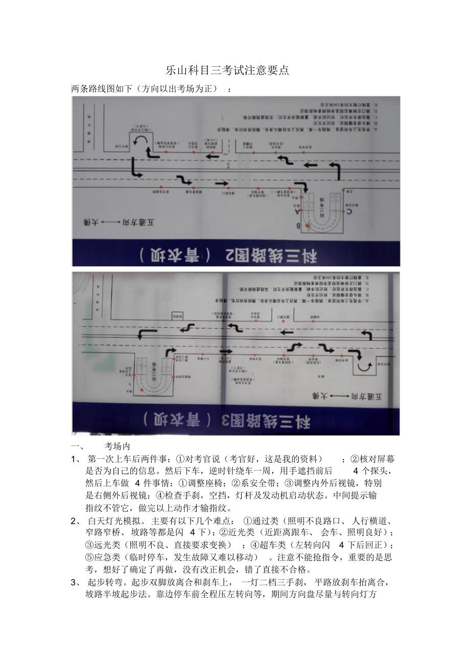 乐山科目三考试注意要点_第1页