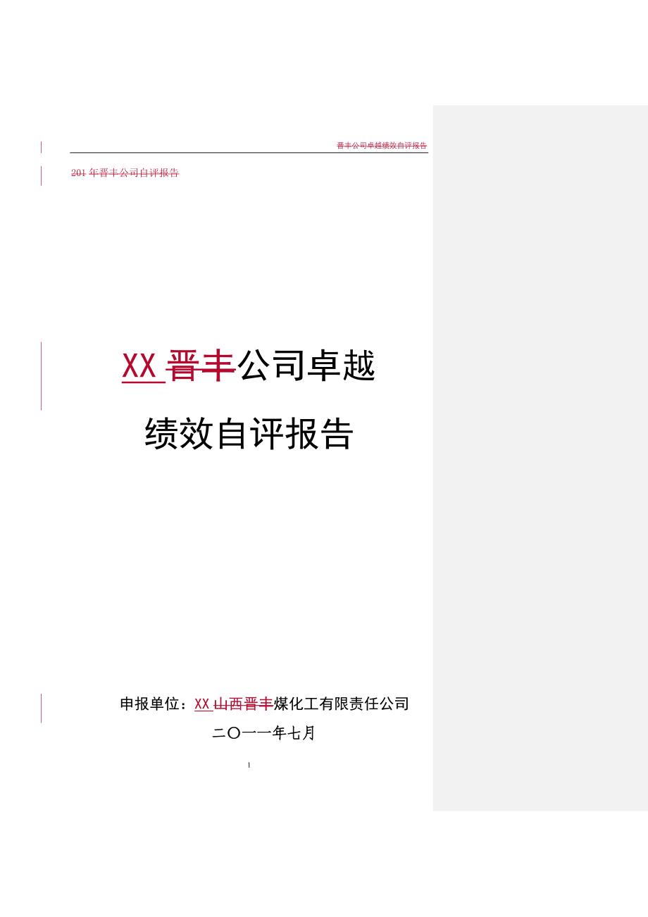 XX煤化工公司卓越绩效自评报告_第1页