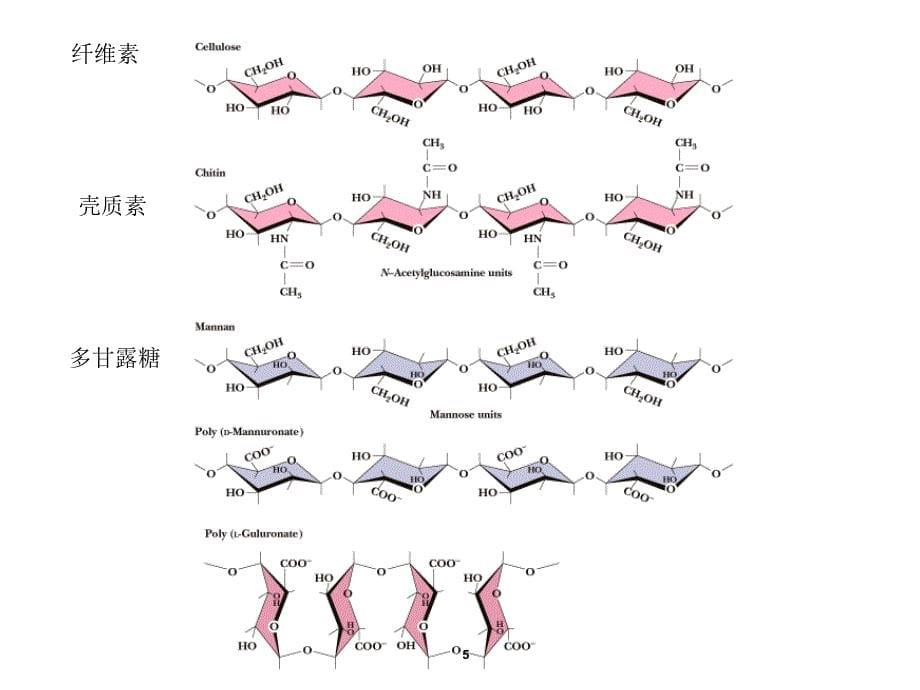 第三章 膳食纤维_第5页