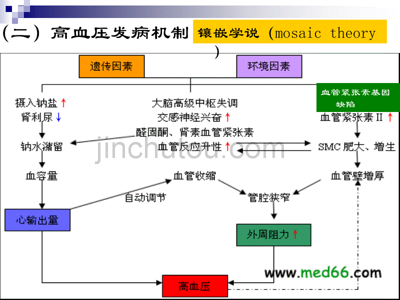 高血压药教案_第5页