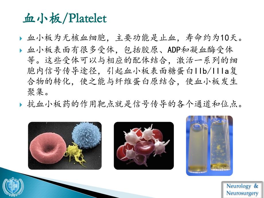 抗血小板药物使用_第2页